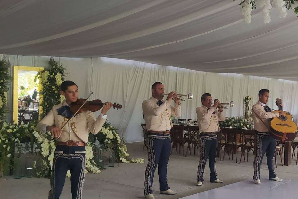 Mariachi Viva México