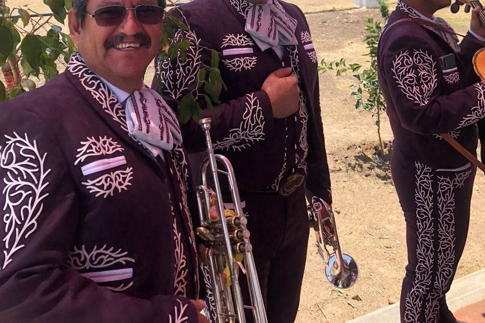 Mariachi Viva México