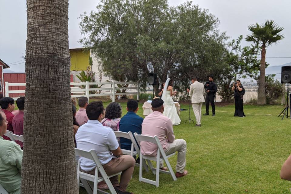 Novios casándose en un jardín