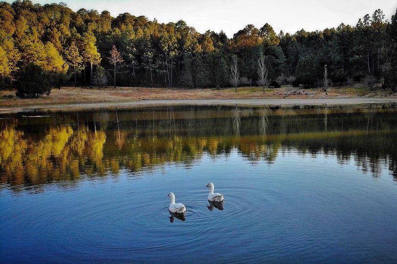 Lago de Molinillos