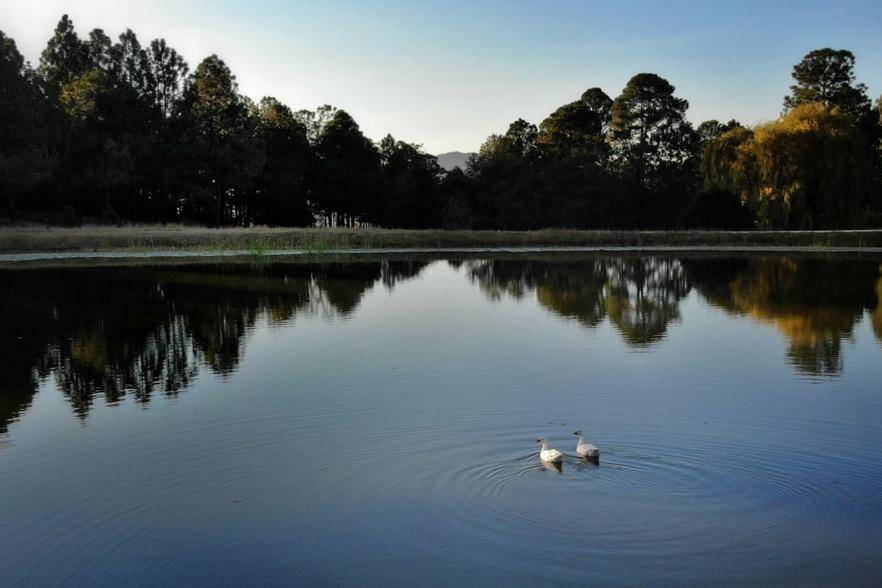 Vista desde el Lago