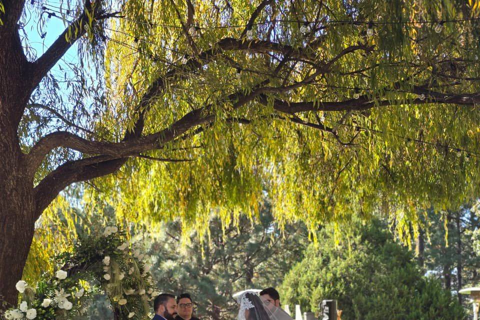 Jardín