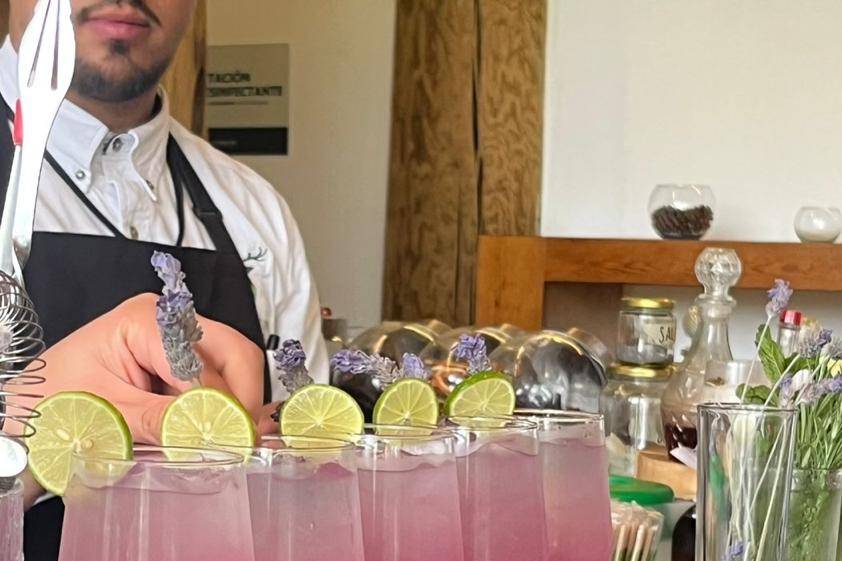 Cocteles