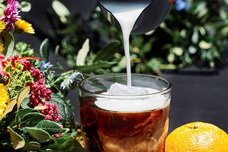 Cold Brew