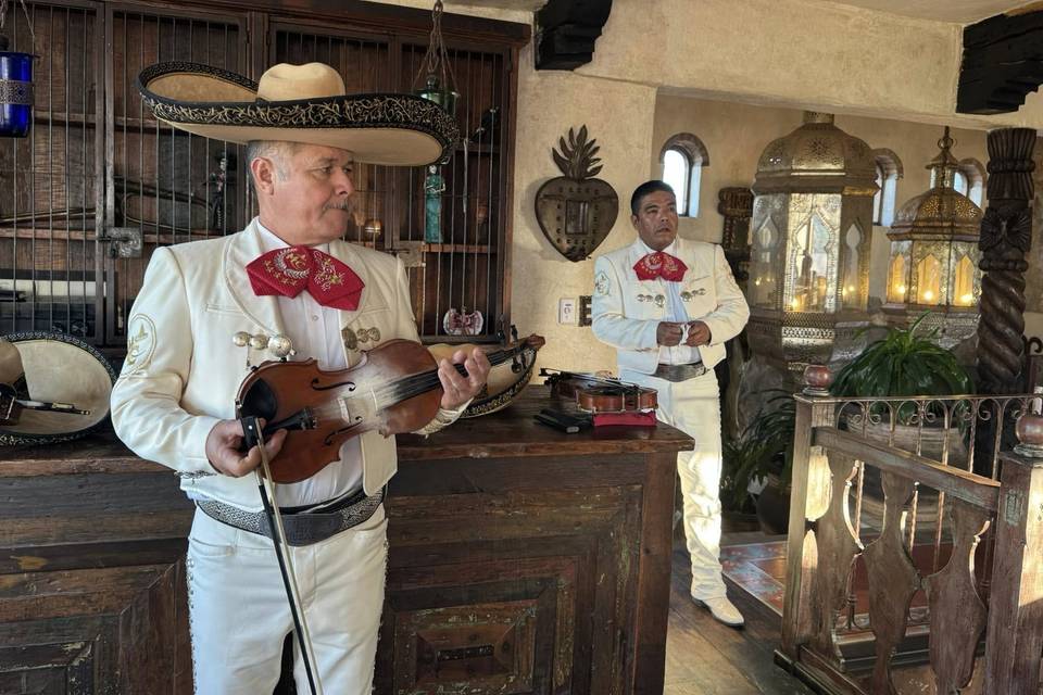 Mariachi con traje blanco
