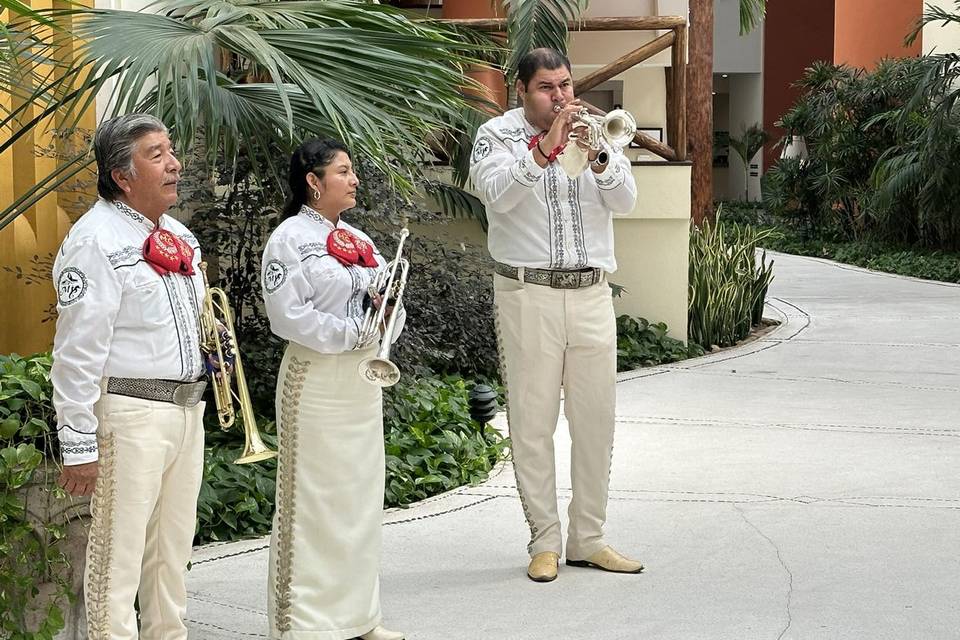 Mariachi con trompetas