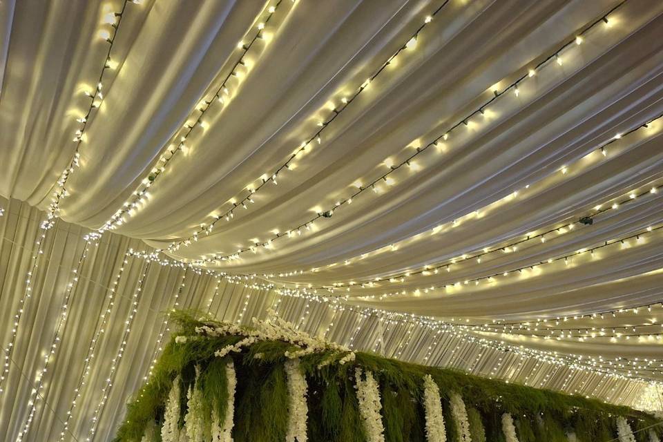 Aéreo de flores, cielo ilumina