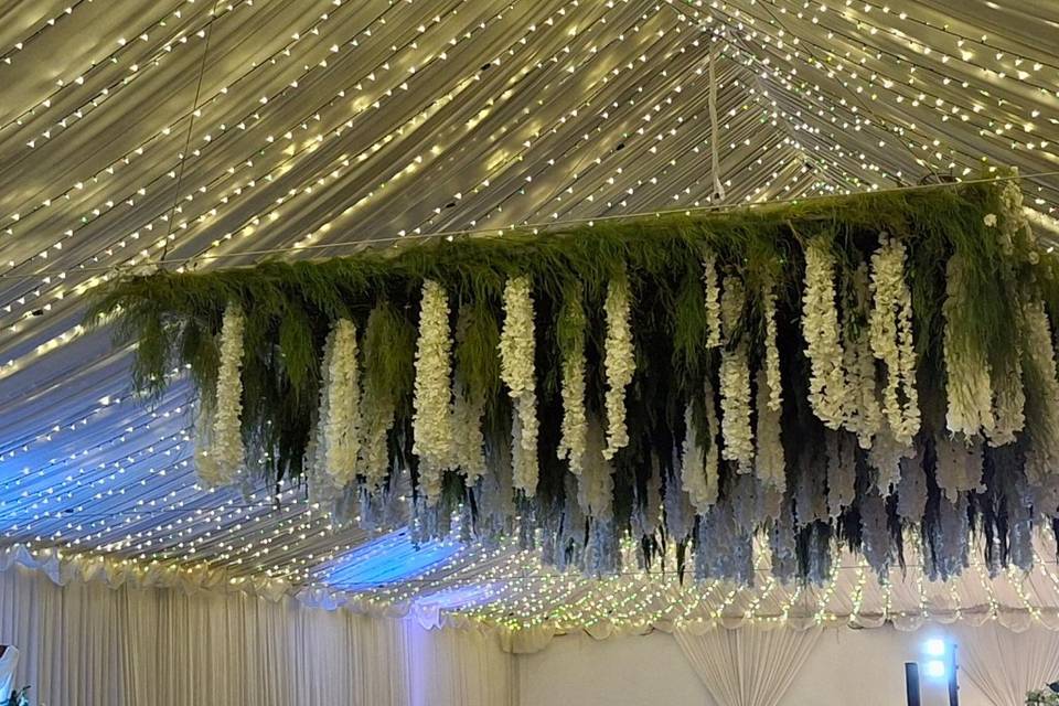 Cielo iluminado, areo de flore