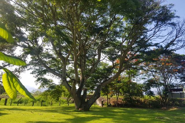 Jardín área parota