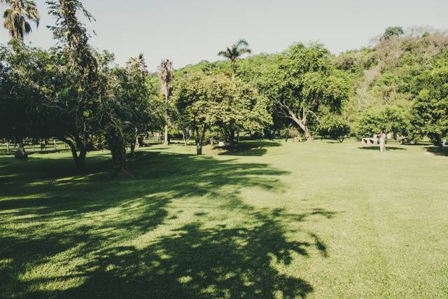 Jardín