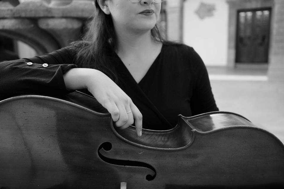 Músicos profesionales