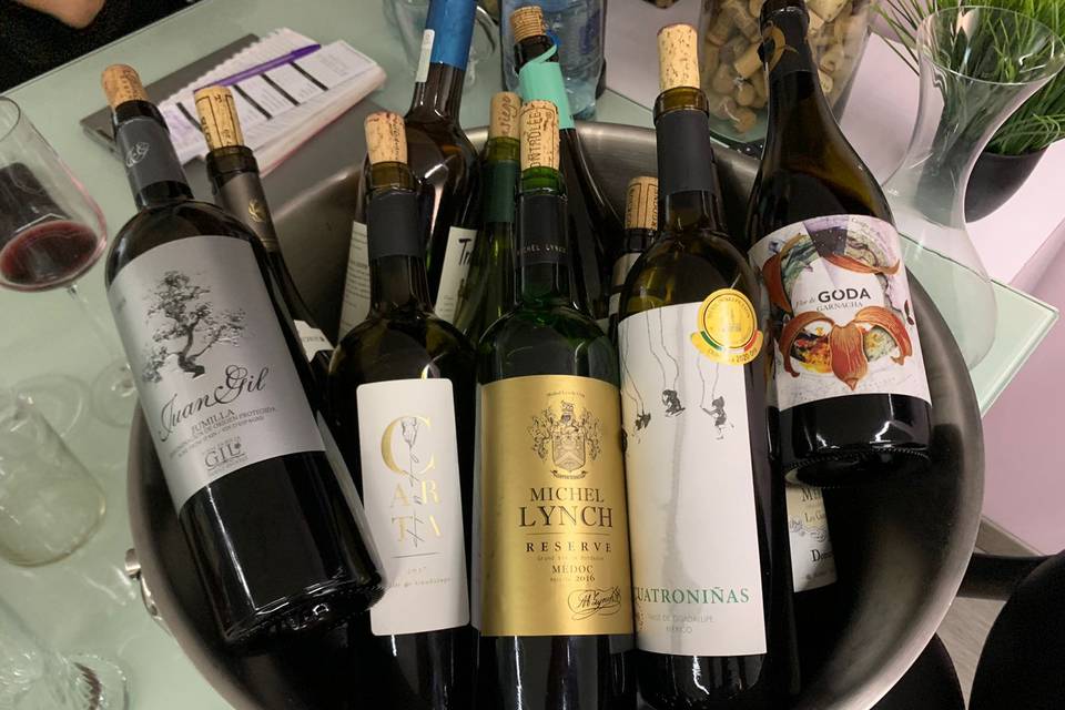 Cata vinos tintos
