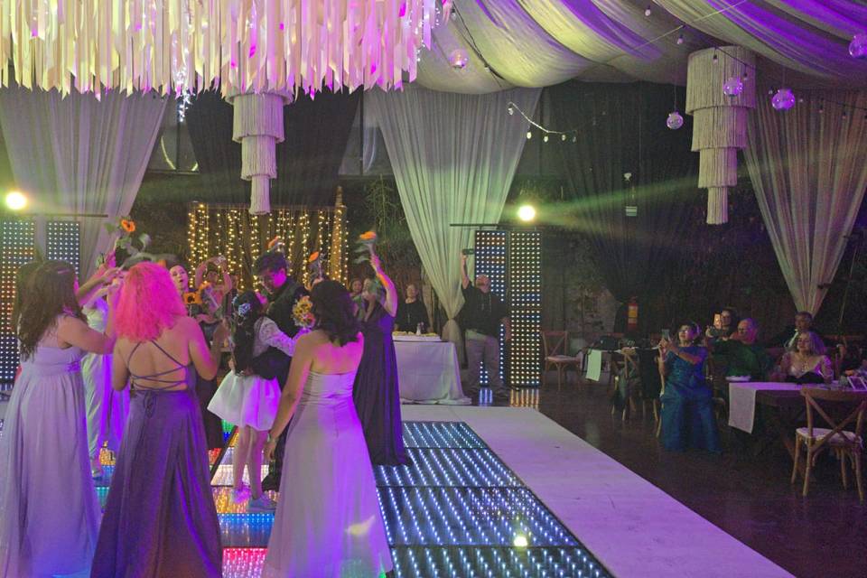 Amplia pista de baile