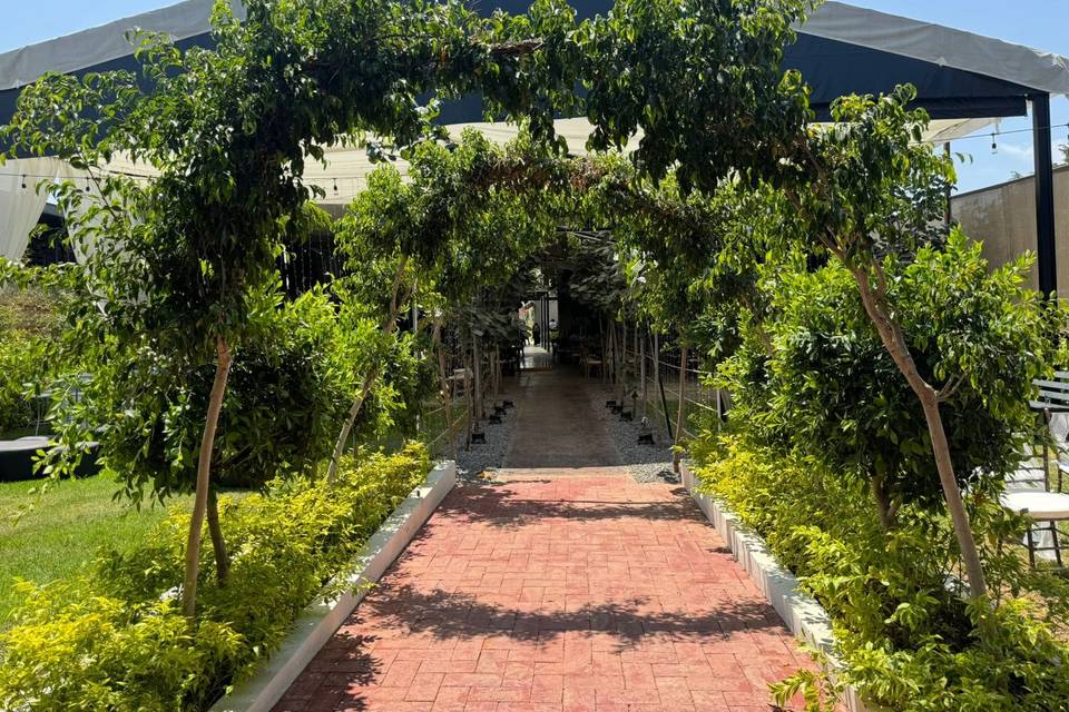 Recepción de invitados