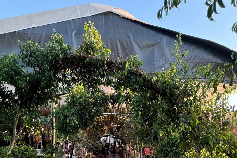 Recepcion de invitados