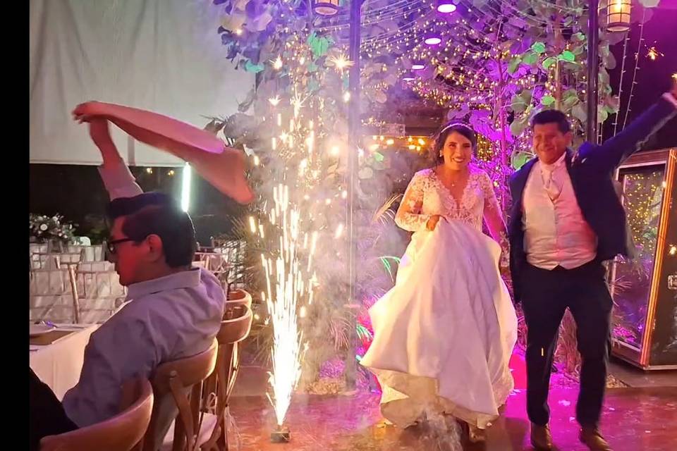 Piroctenia fria incluida