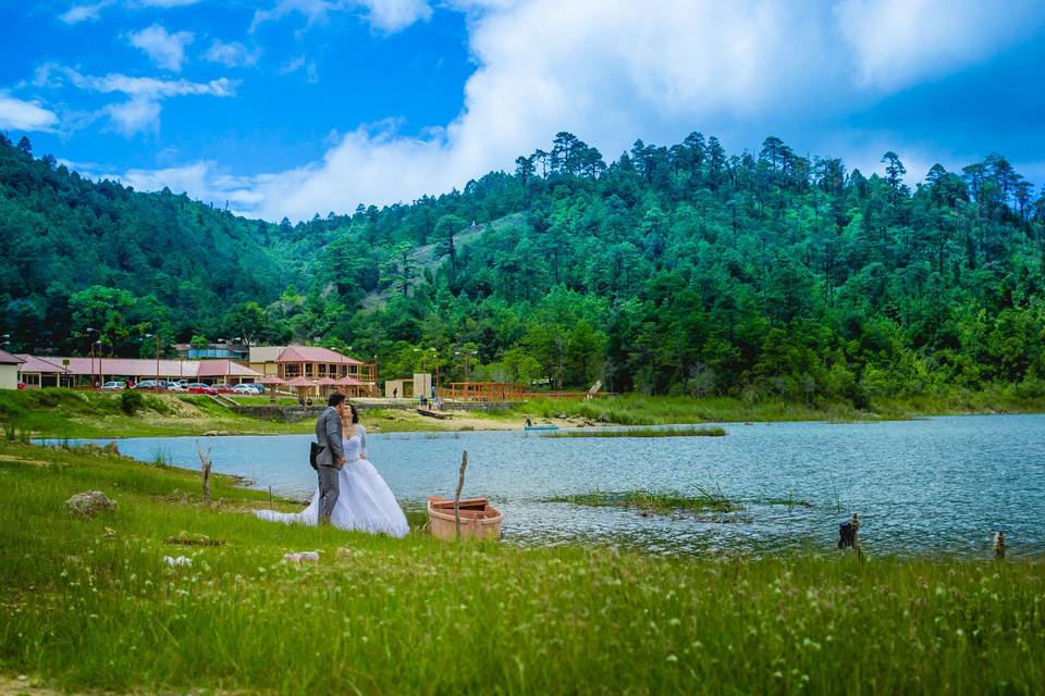 Trash the dress