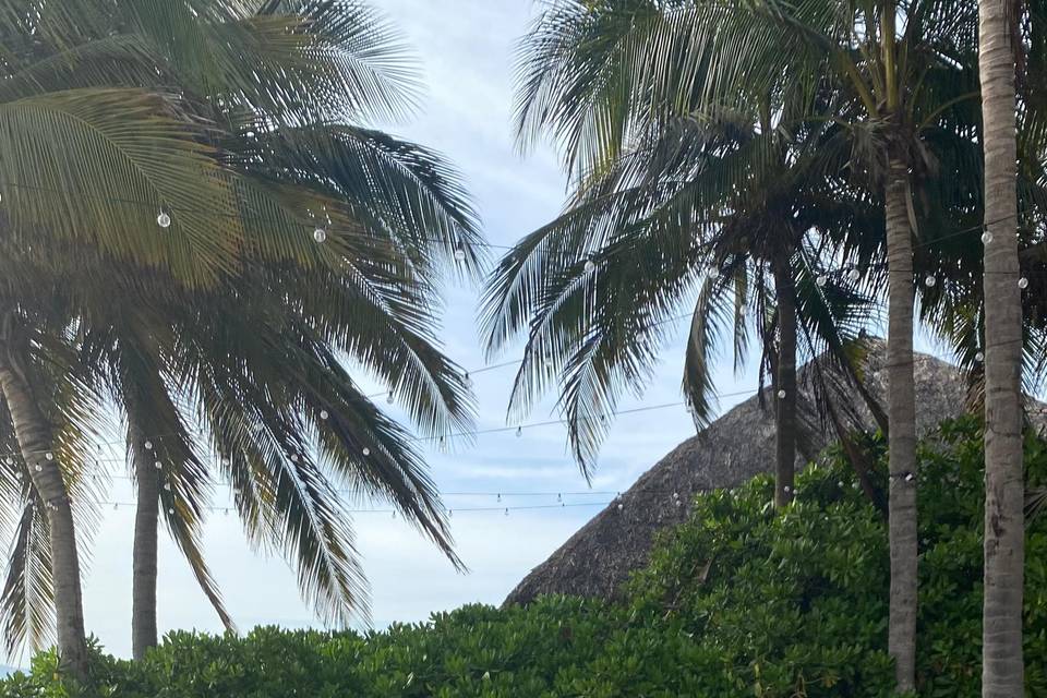 Occidental Nuevo Vallarta