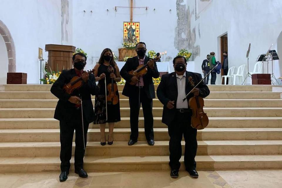 Cuarteto violines y viola
