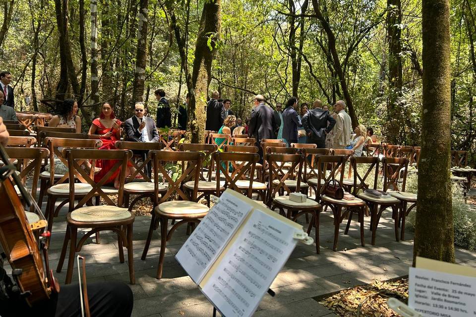 Listos, esperando el incio