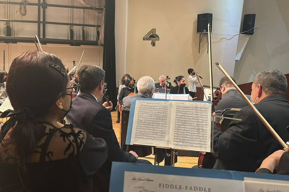 Orquesta de cámara
