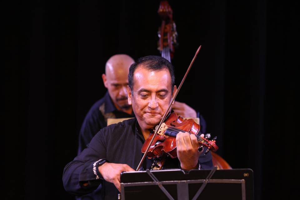 Maestro andrés castillo