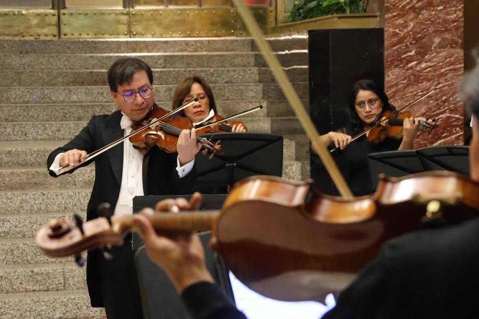 Ensamble violines