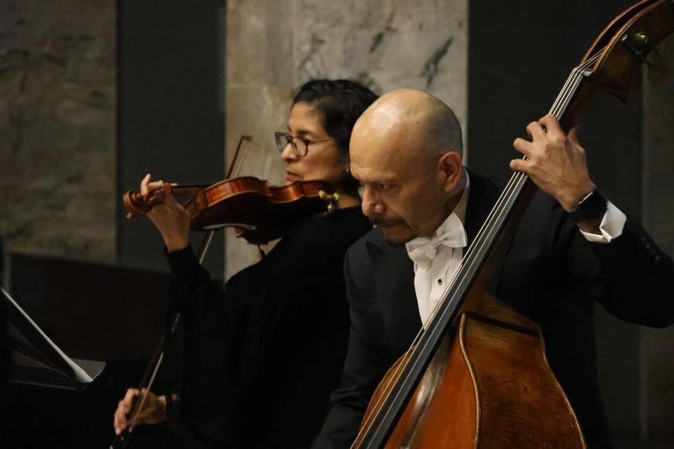Violín y contrabajo