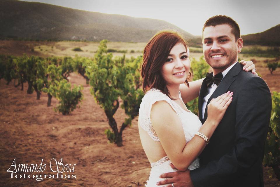 Boda en viñedos