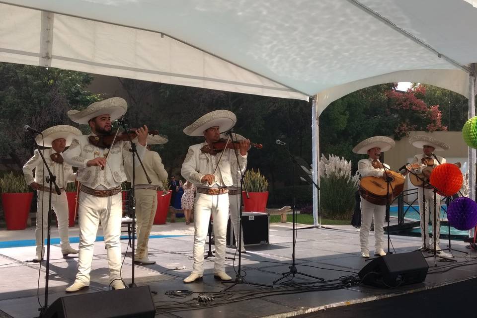 Mariachi