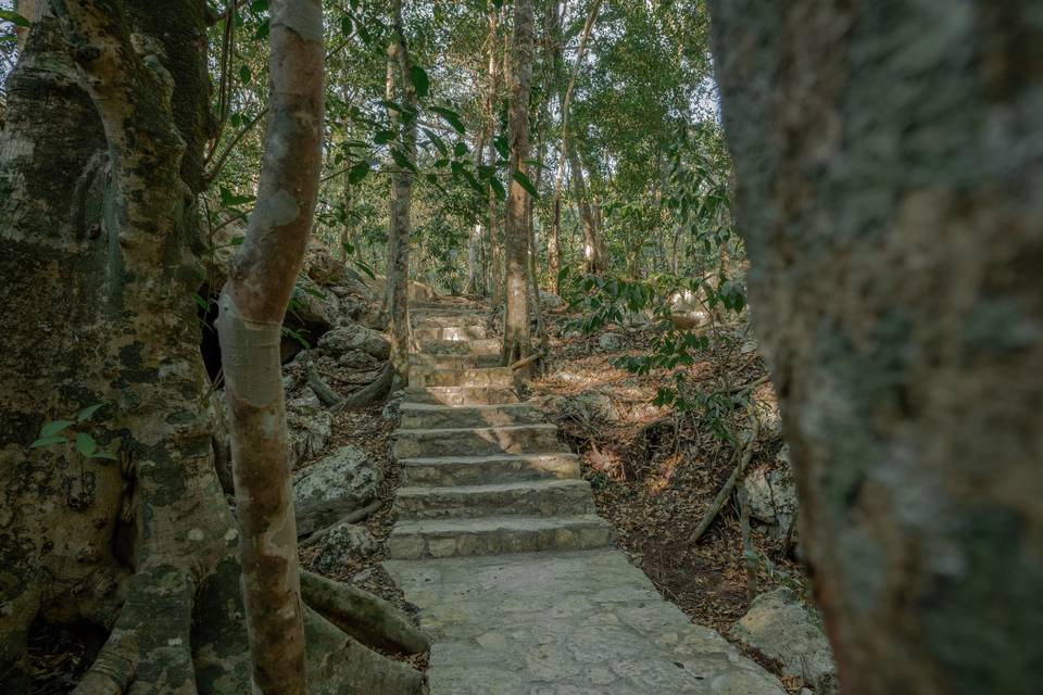 Escalera cenote