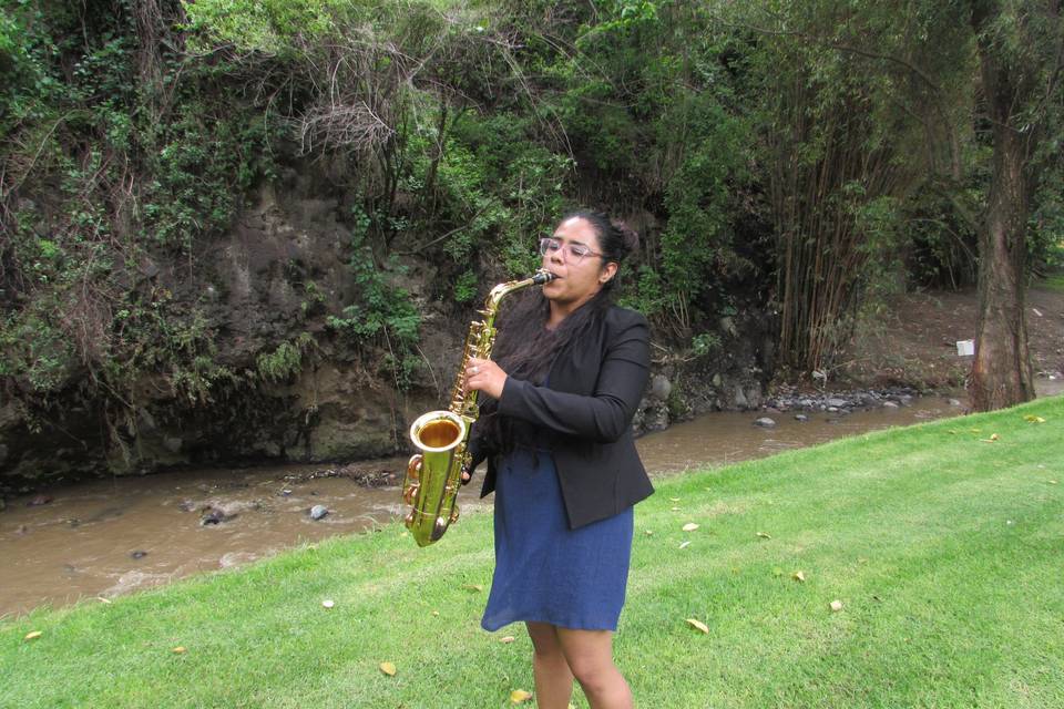 Saxofón