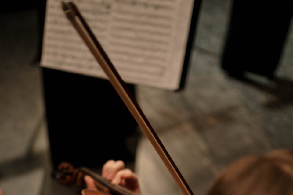 Violinista