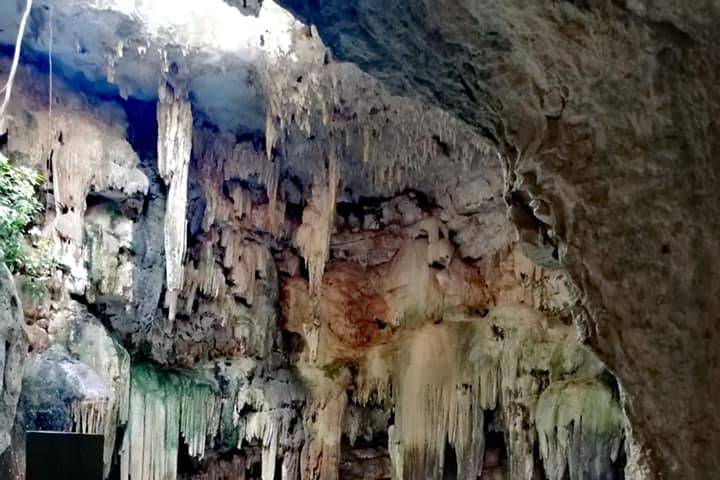 Visita a cenotes