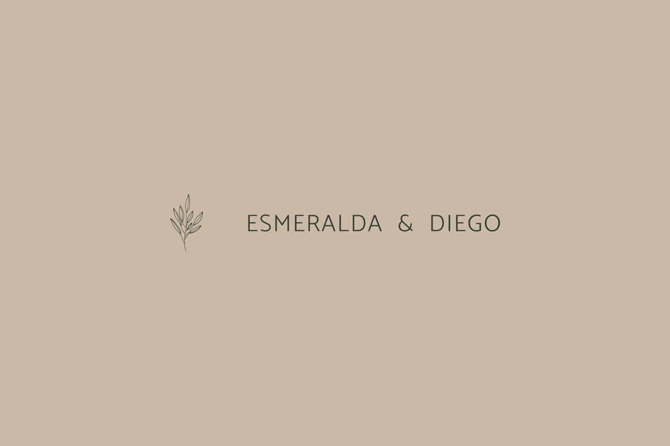 Logotipo Secundario | E&D