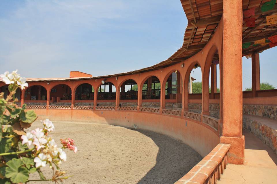 Viñedos azteca