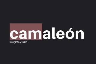 Camaleon logo