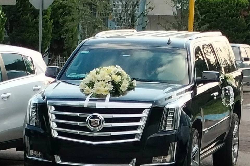 Cadillac Escalade Premium Luxu