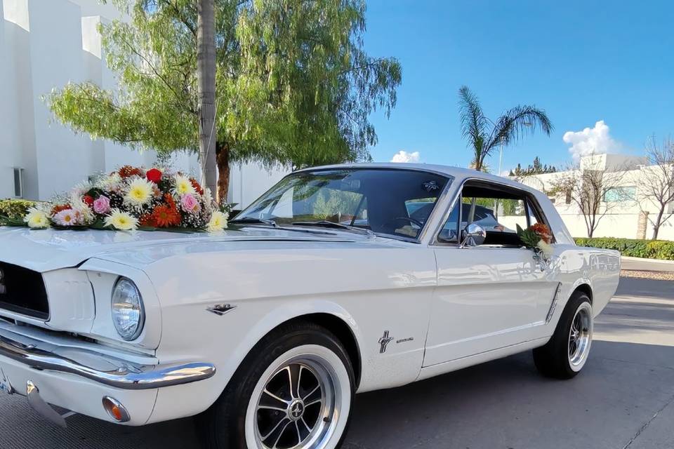 Ford Mustang Hard Top 1965