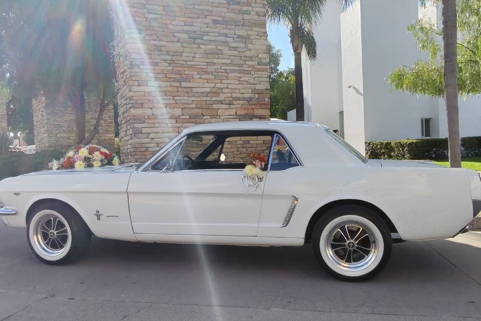 Ford Mustang Hard Top 1965