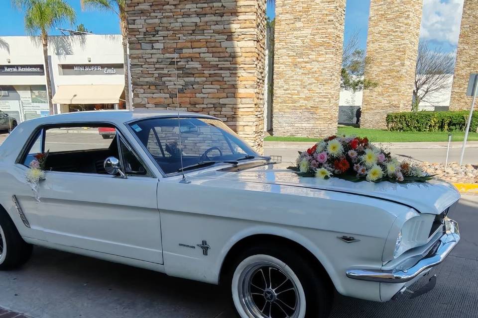 Ford Mustang Hard Top 1965