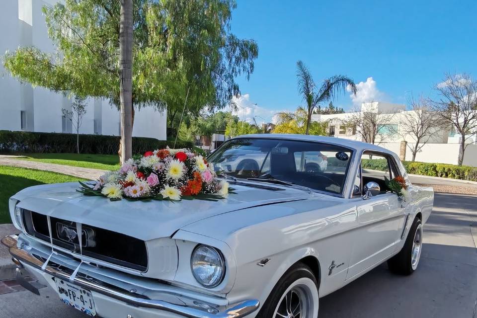 Ford Mustang Hard Top 1965