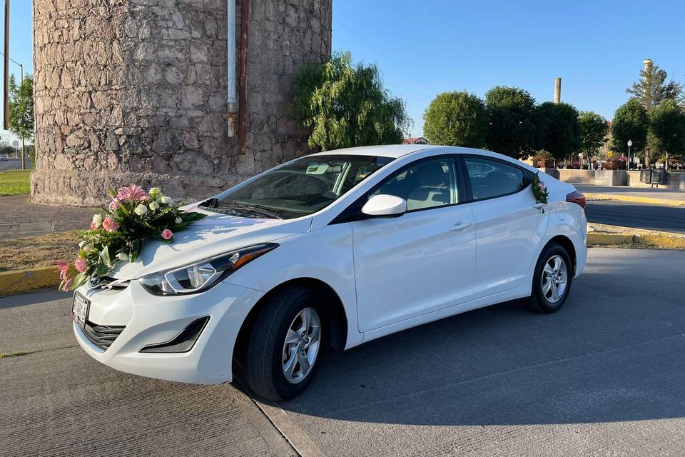 Elantra hyundai