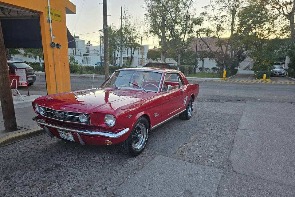 Mustang Hard Top 1966