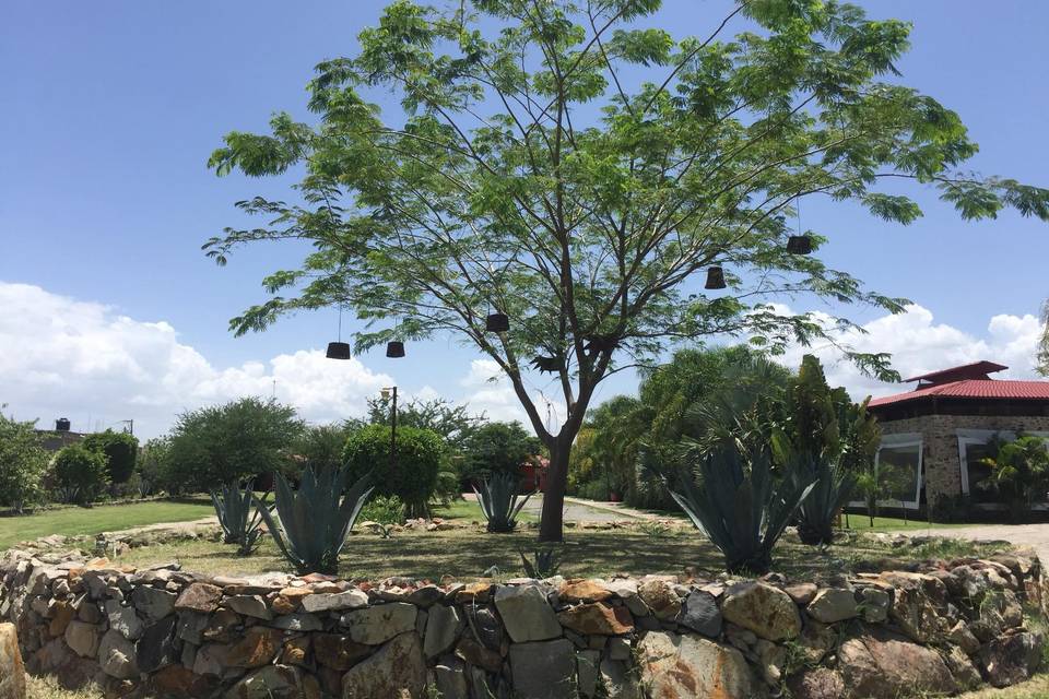 Hacienda La Huerta