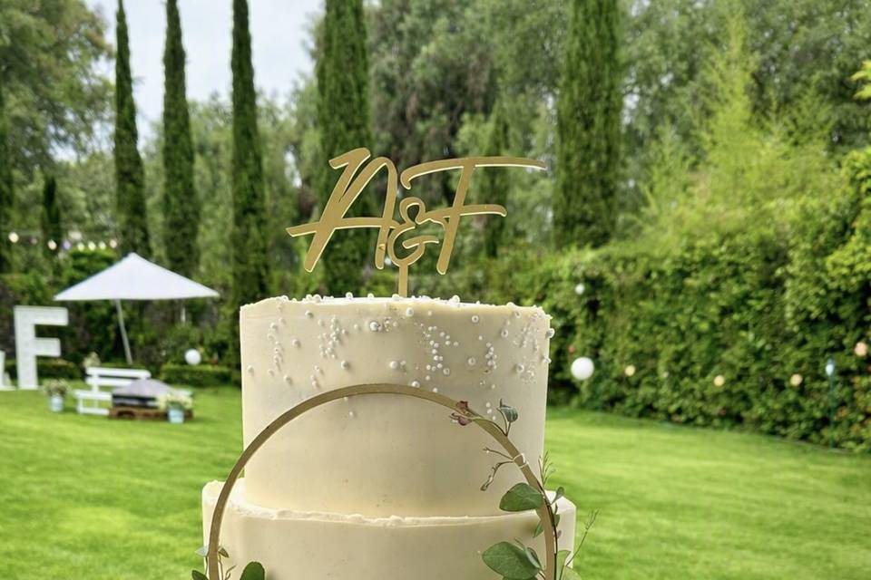 ANDY CAKE