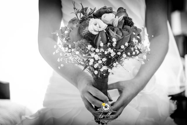 Boda Thalia y Ernesto