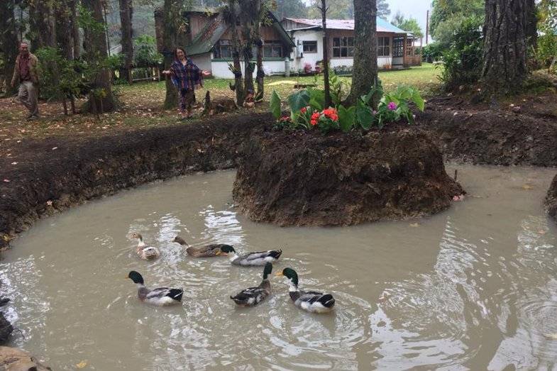 El pequeño lago