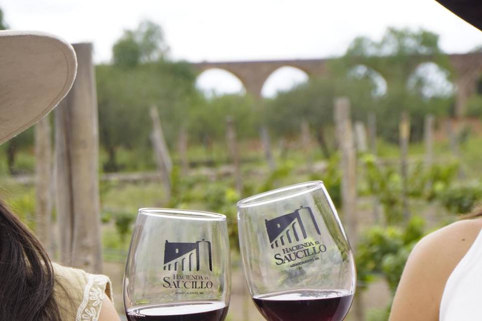 Viñedo