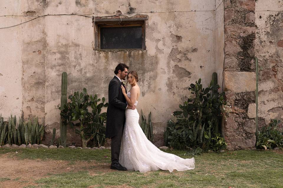 Novios